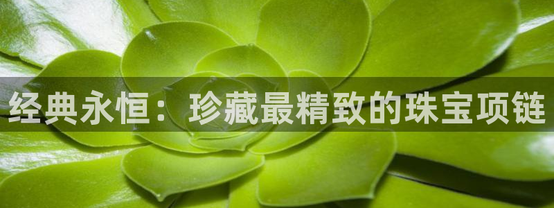 新航娱乐旗下艺人列表