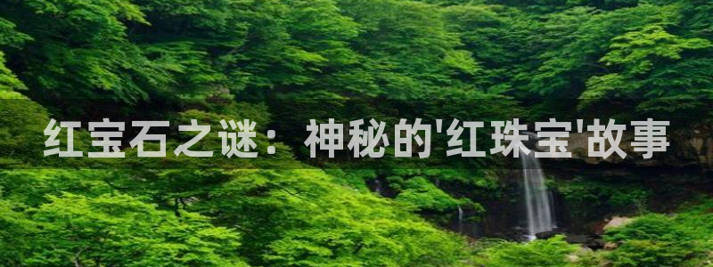新航娱乐的创始人简介
