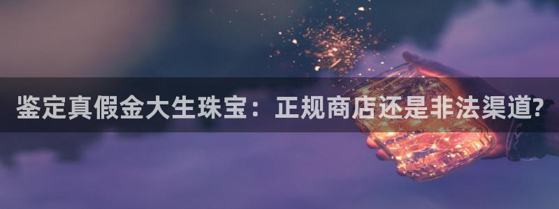 新航娱乐观