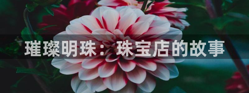 新航娱乐棋牌