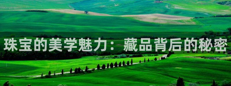 新航娱乐公司地址查询