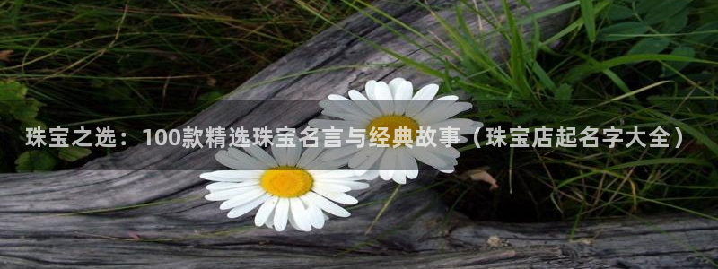 新航娱乐公司简介图片