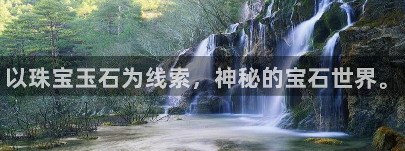 新航文化娱乐传媒招聘