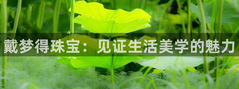 新航娱乐app下载地址