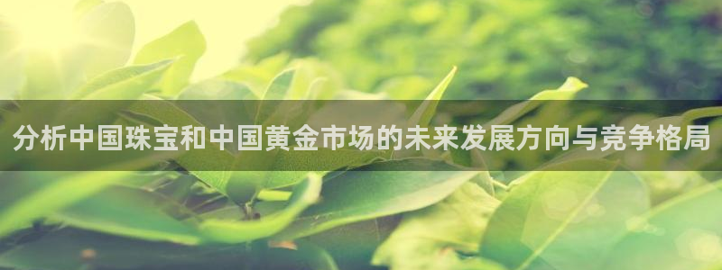 新航娱乐管理有限公司