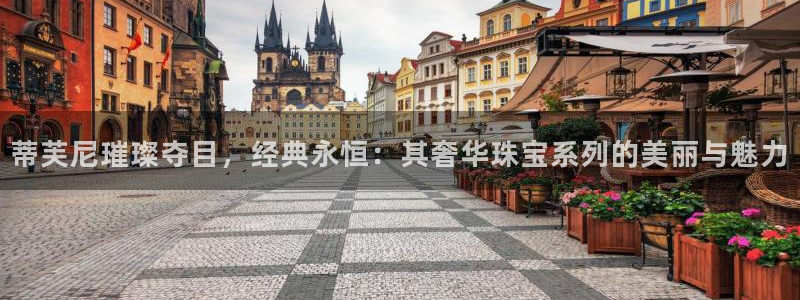 新航娱乐观