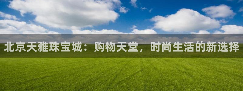 新航娱乐官方