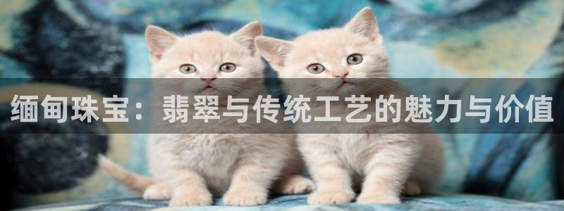 新航娱乐公司问题分析