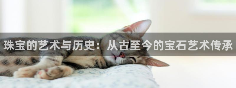 新航海娱乐会所怎么样啊