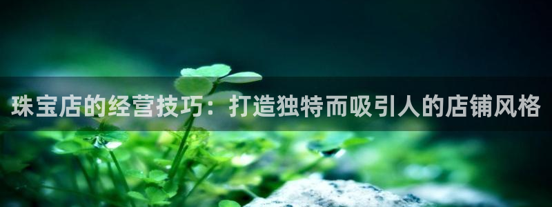 新航飞机椅背娱乐设备
