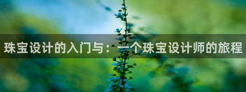 新航娱乐app下载安装