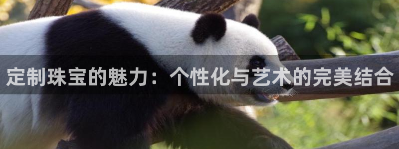 新航娱乐公司招聘