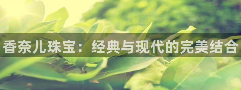 新航娱乐公司地址在哪里