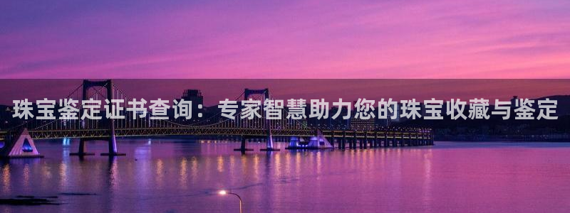新航线娱乐会所