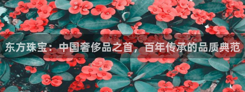 新航娱乐怎么样