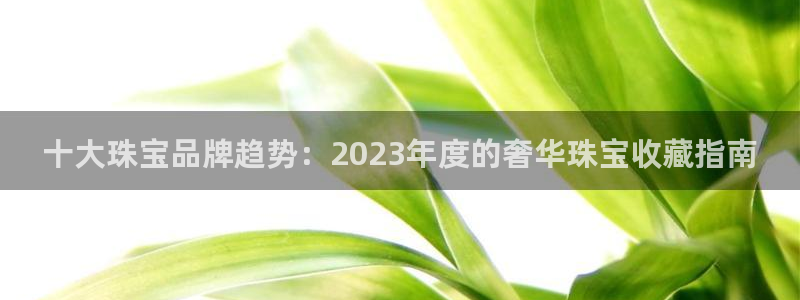新航线娱乐会所