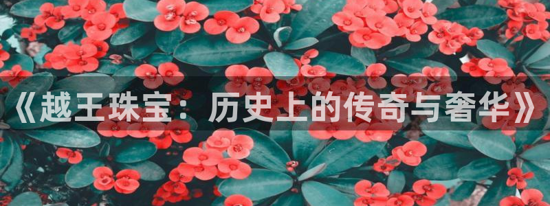 新航娱乐值得买吗