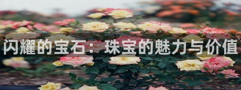 新航娱乐扣款详情