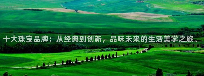 娱乐新航向