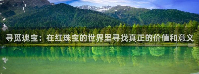 新航娱乐入网要求