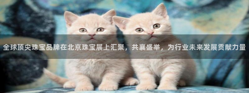新航娱乐q被骗