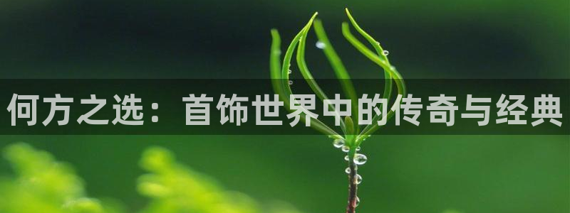 新航娱乐最新娱乐项目介绍