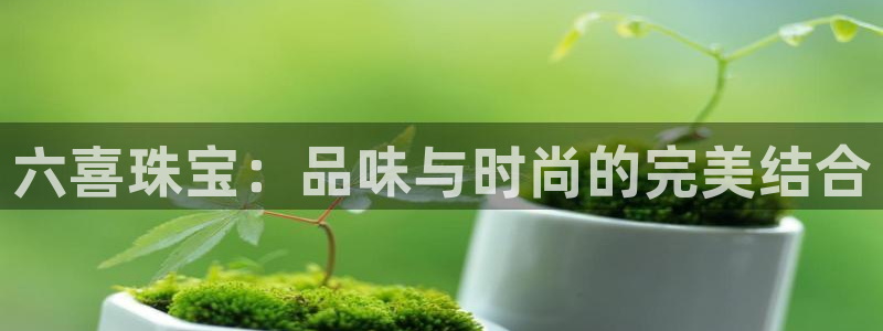 新航海娱乐会所地址电话