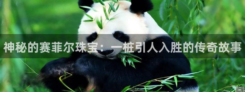 新航娱乐设施
