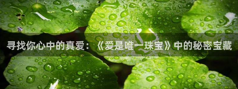 新航娱乐公司怎么样