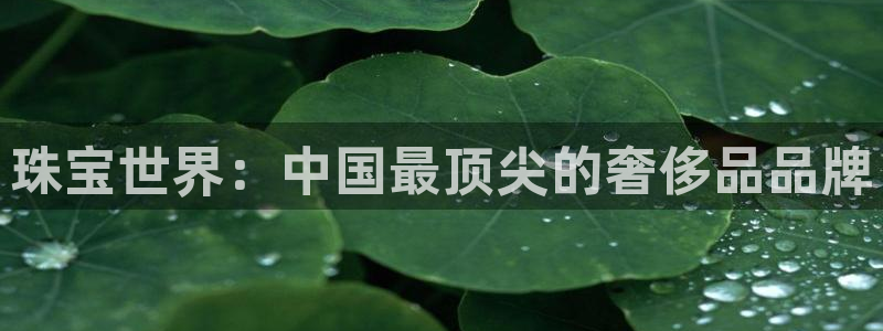 新航娱乐最新开户信息