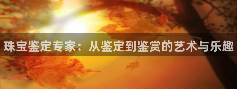 新航娱乐平台app下载