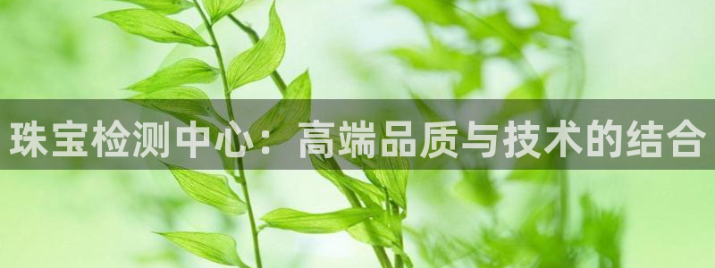新航娱乐app下载安装