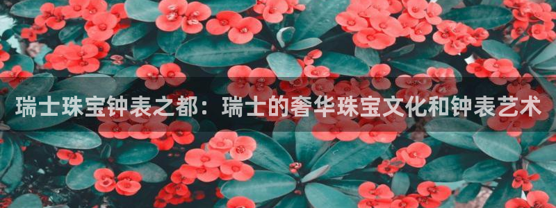 开启娱乐新航线