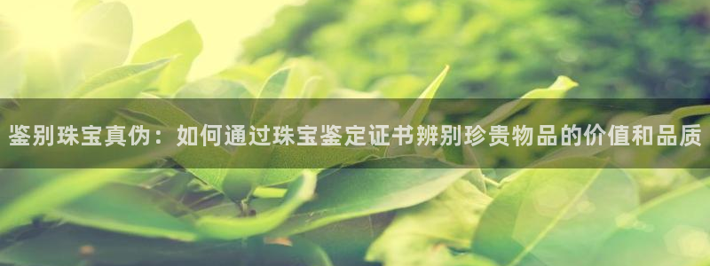 新航娱乐app下载