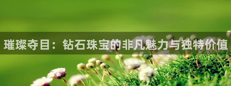 新航娱乐公司地址电话