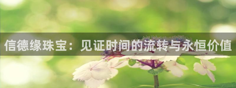 新航娱乐网址