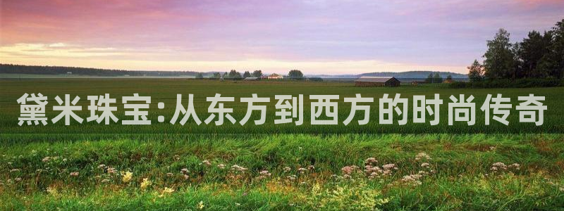 新航娱乐