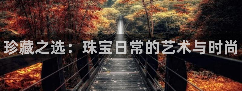新航飞机椅背娱乐设备