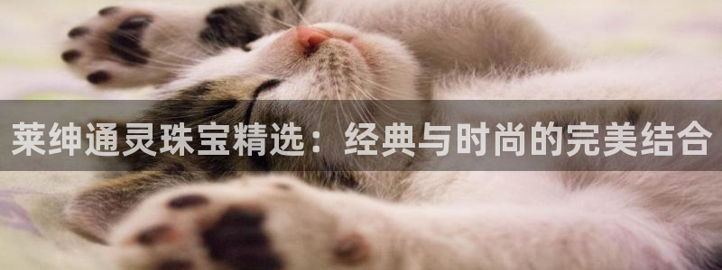 新航娱乐最新开户信息
