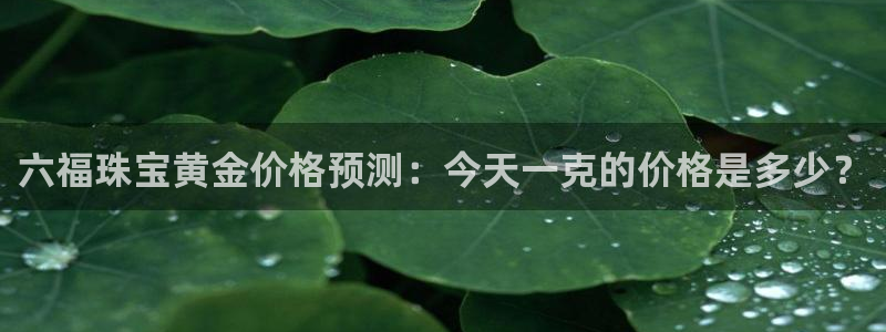 新航娱乐app下载安卓