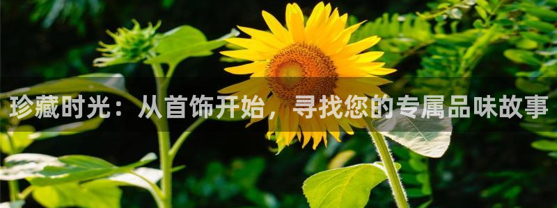 新航娱乐扣款：珍藏时光：从首饰开始，寻找您的专属品味故事