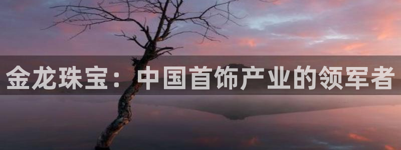 新航娱乐公司简介：金龙珠宝：中国首饰产业的领军者