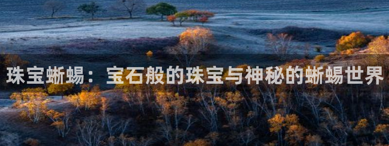 新航娱乐平台注册：珠宝蜥蜴：宝石般的珠宝与神秘的蜥蜴世界