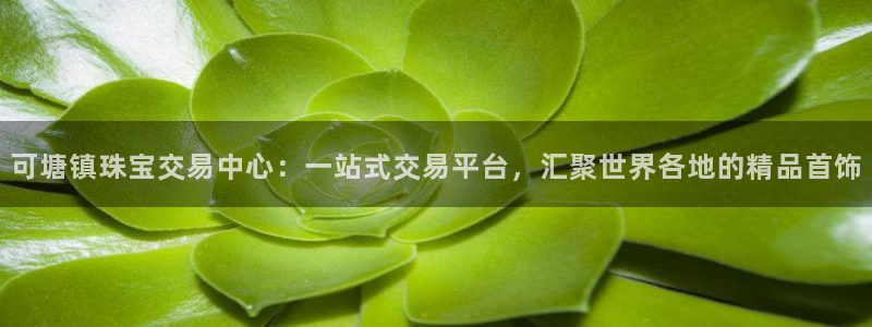 新航sq806娱乐系统：可塘镇珠宝交易中心：一站式交易平台，
