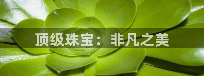 新航娱乐传媒怎么样