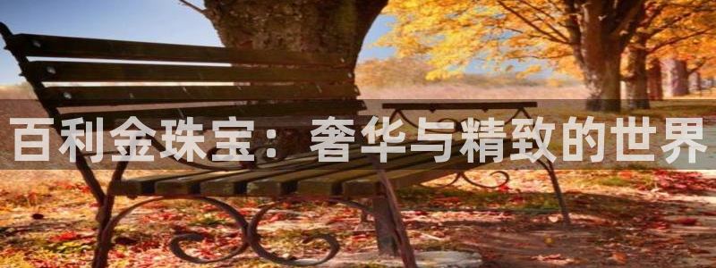 新航娱乐的最新动态报道
