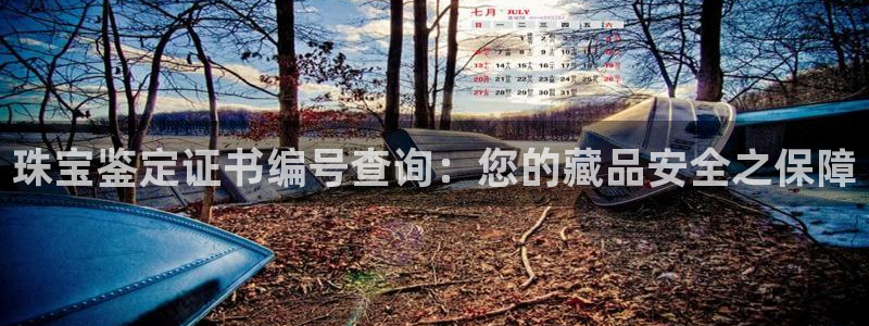 中国新航娱乐在哪个平台：珠宝鉴定证书编号查询：您的藏品安全之