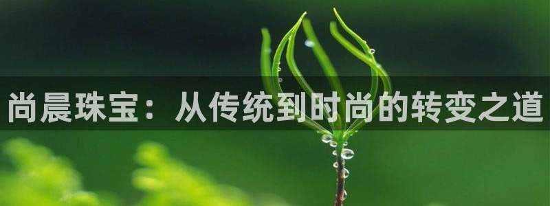 新航娱乐公司地址