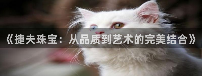新航娱乐登陆