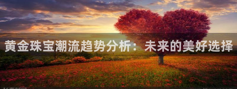 新航娱乐有限公司地址